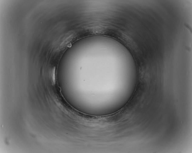 X0000101690028200807171446