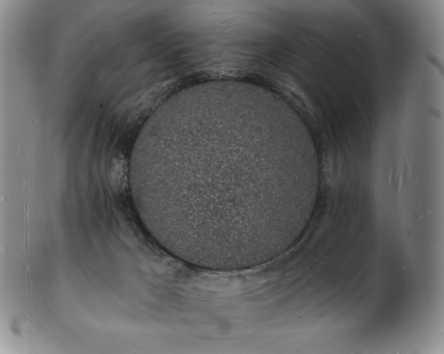 X0000101690029200807171446