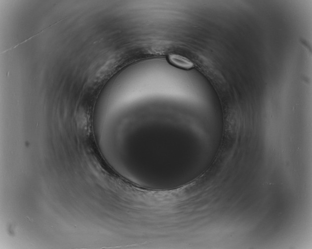 X0000101690031200807171446