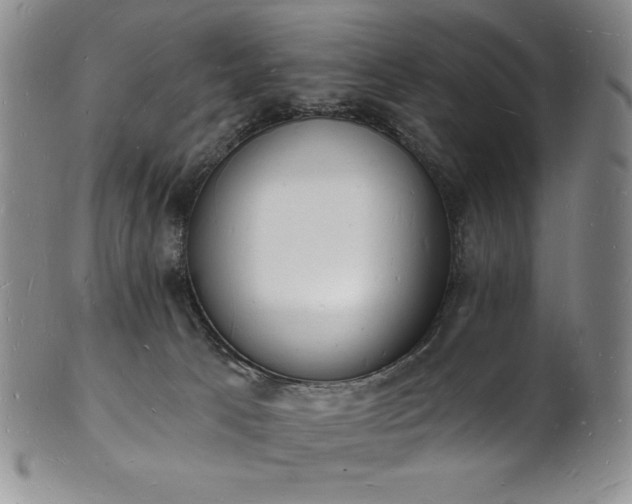 X0000101690033200807171446