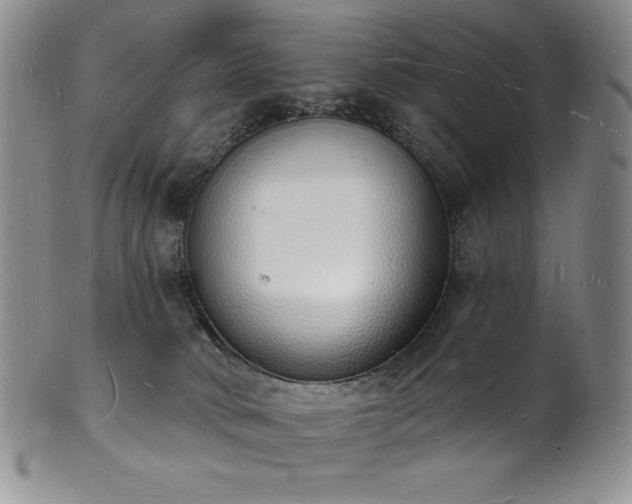 X0000101690034200807171446