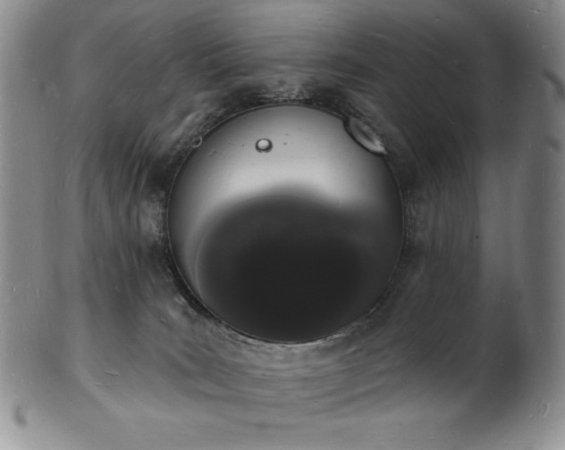 X0000101690035200807171446