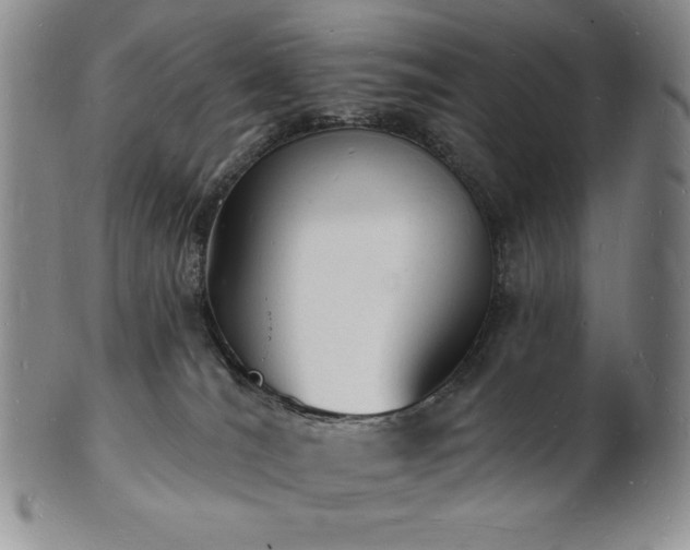 X0000101690036200807171446