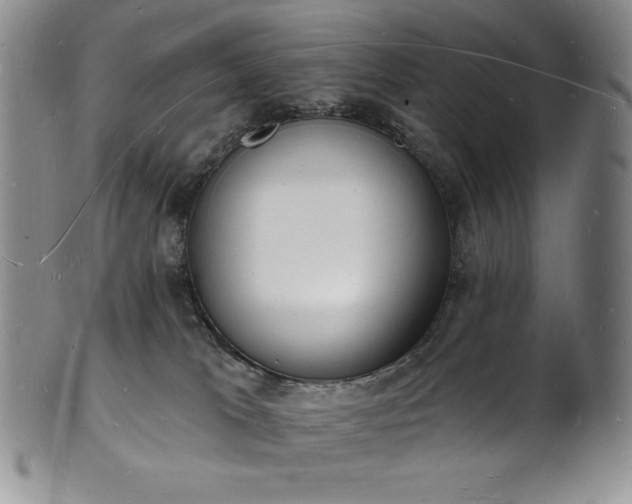 X0000101690037200807171446