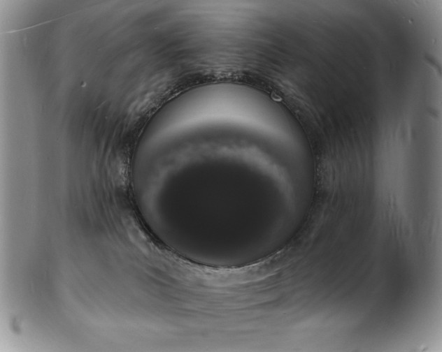 X0000101690039200807171445