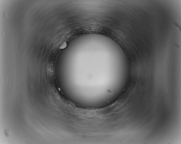 X0000101690040200807171445