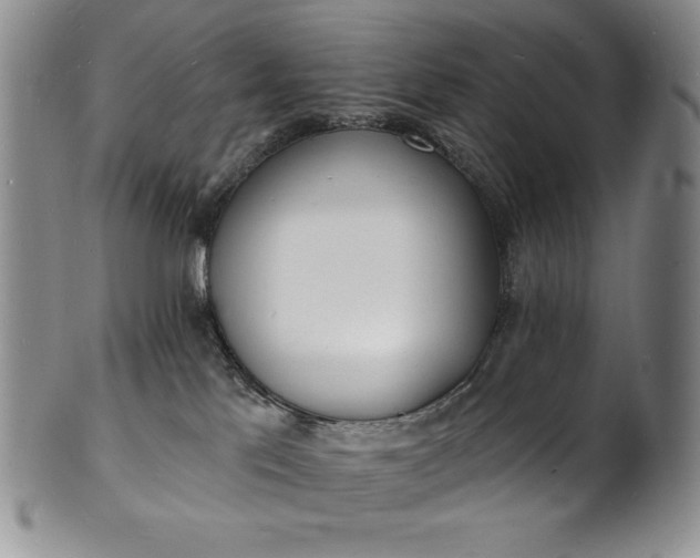 X0000101690041200807171445