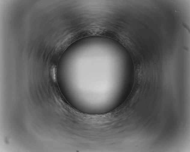 X0000101690042200807171445