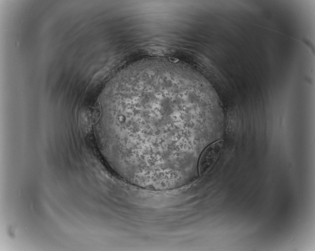 X0000101690043200807171445