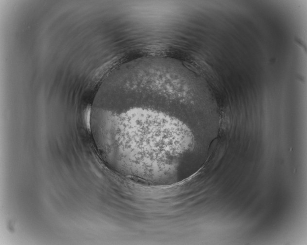 X0000101690047200807171445