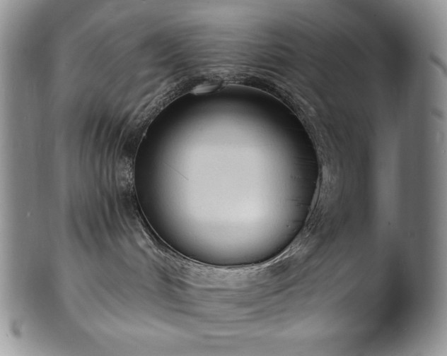 X0000101690048200807171445