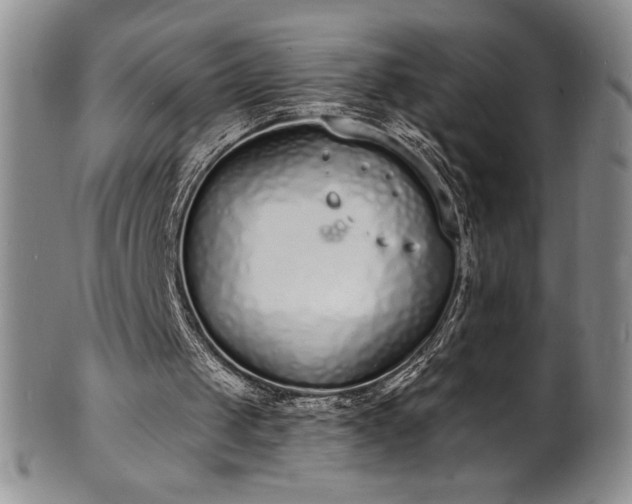 X0000101690049200807171445