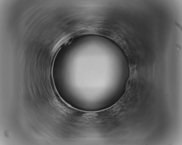 X0000101690051200807171445