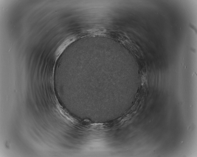 X0000101690052200807171445