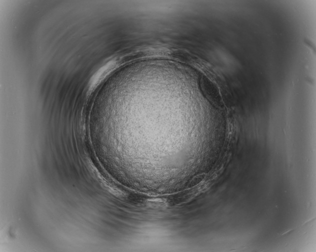 X0000101690053200807171445