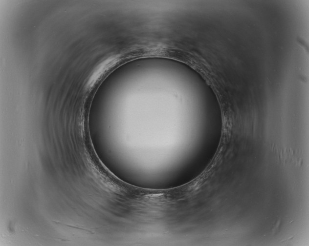 X0000101690054200807171445