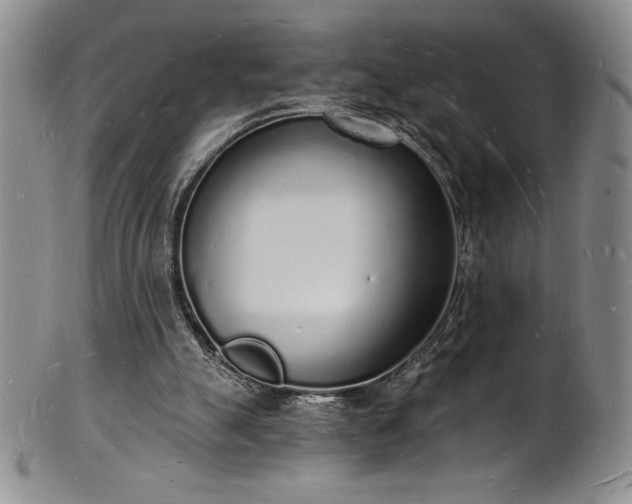 X0000101690055200807171445