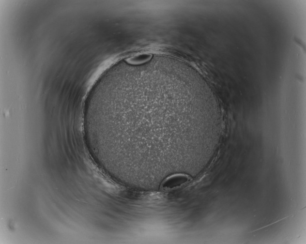 X0000101690056200807171445