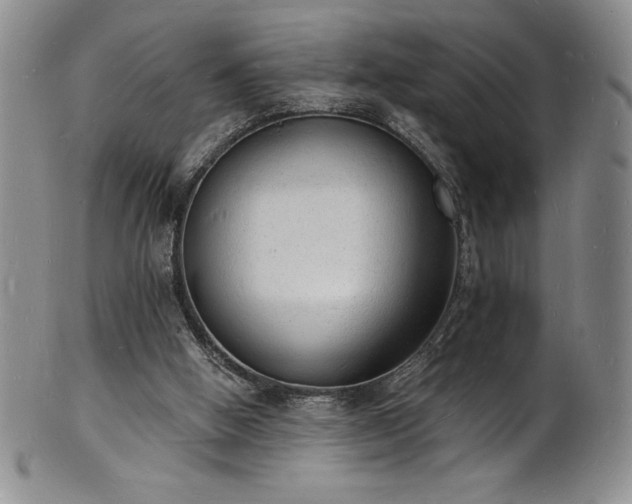 X0000101690058200807171445