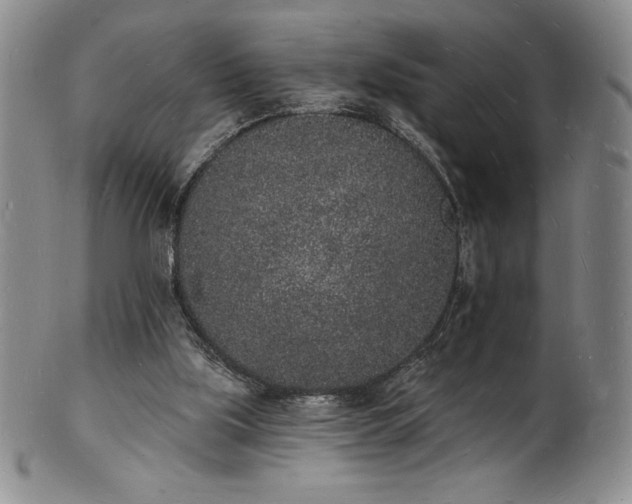 X0000101690059200807171445