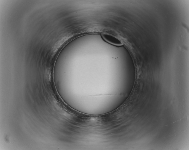 X0000101690060200807171445