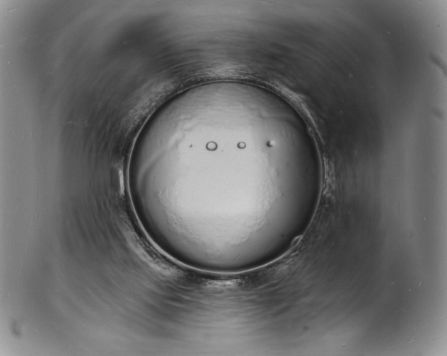 X0000101690061200807171445