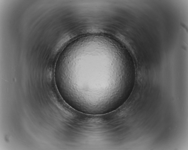 X0000101690063200807171445