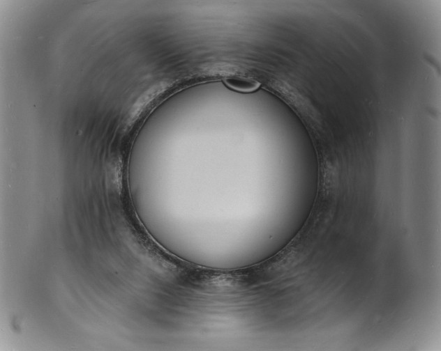 X0000101690064200807171445