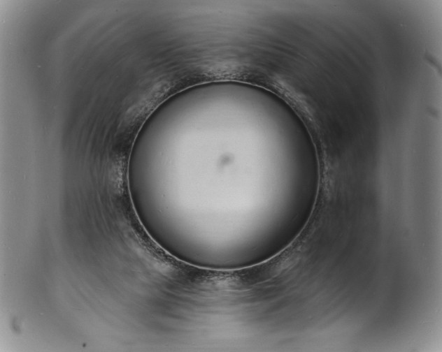 X0000101690065200807171445