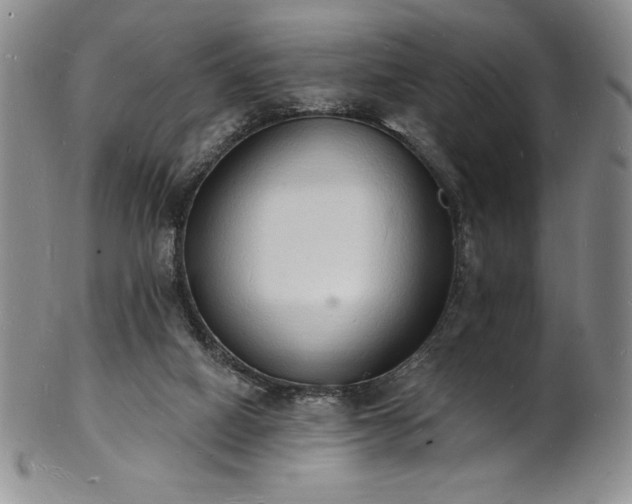 X0000101690066200807171445