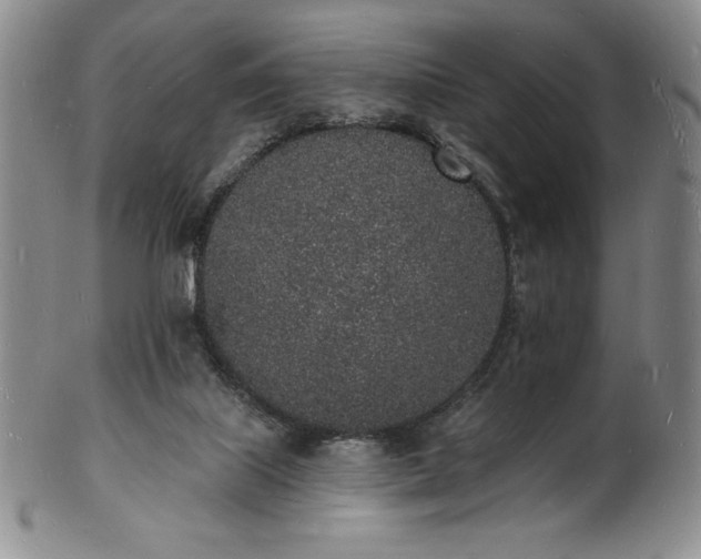 X0000101690067200807171445