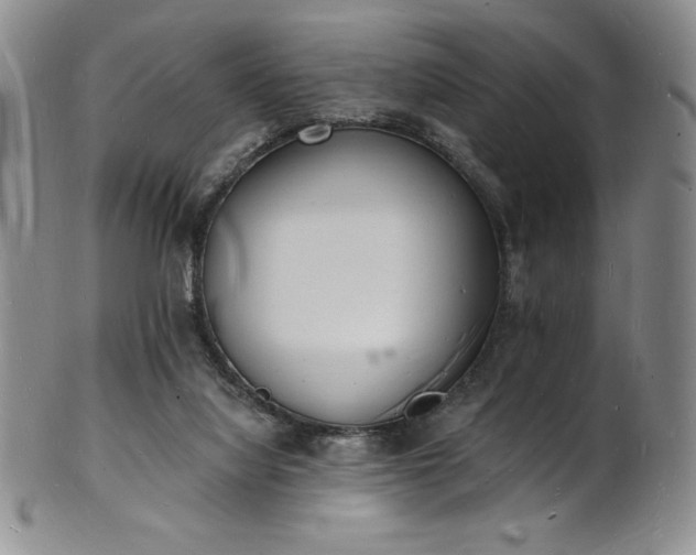 X0000101690068200807171445