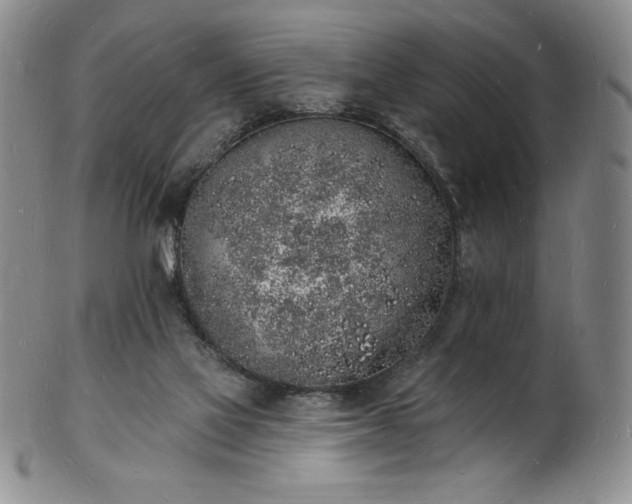 X0000101690069200807171445