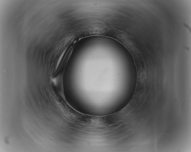 X0000101690070200807171445