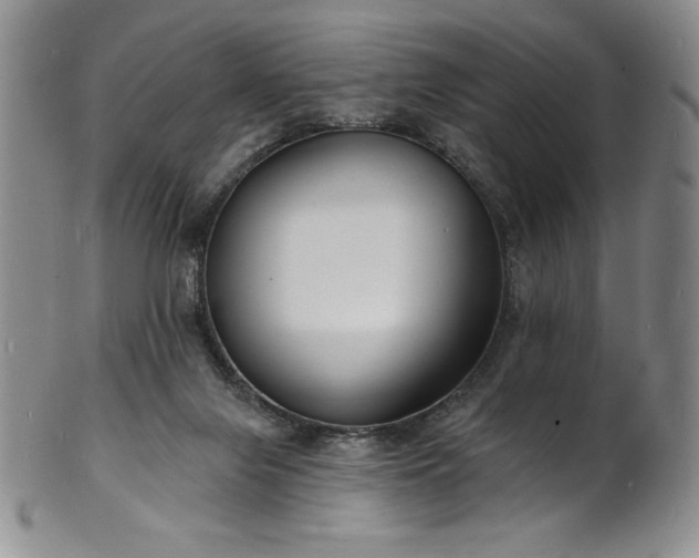 X0000101690071200807171445