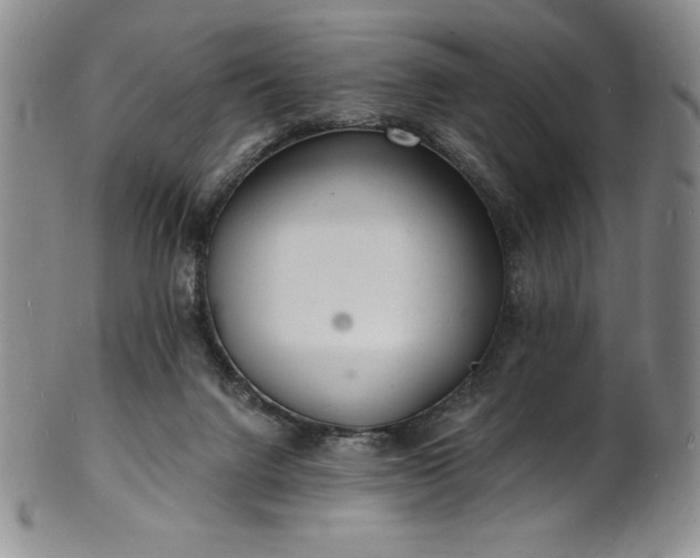 X0000101690072200807171445