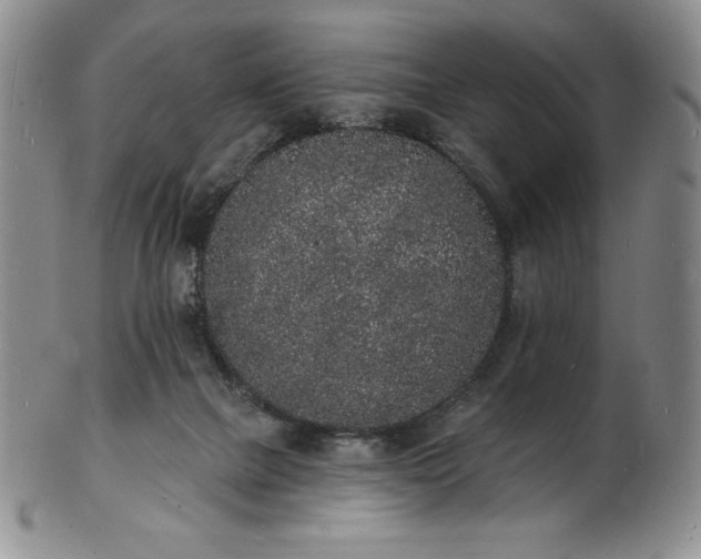 X0000101690073200807171445