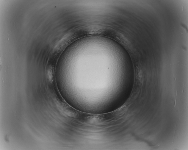 X0000101690074200807171445