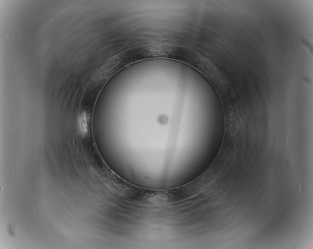 X0000101690075200807171445