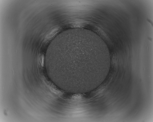 X0000101690076200807171445