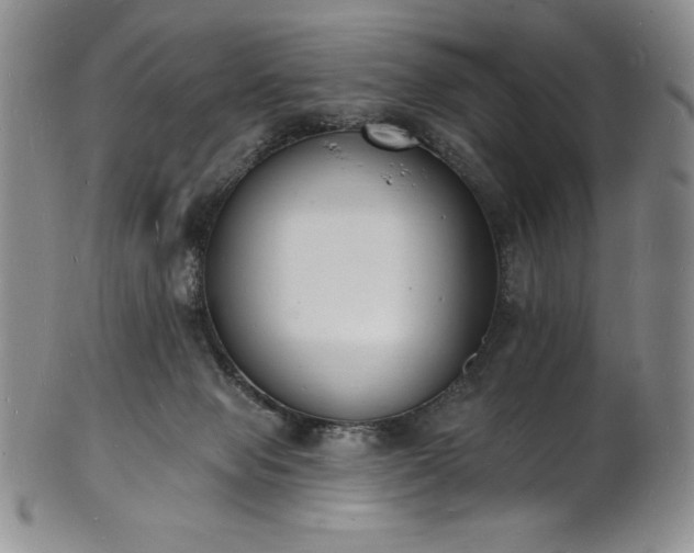 X0000101690077200807171445