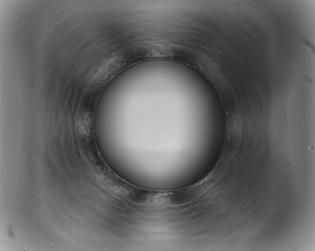 X0000101690078200807171445