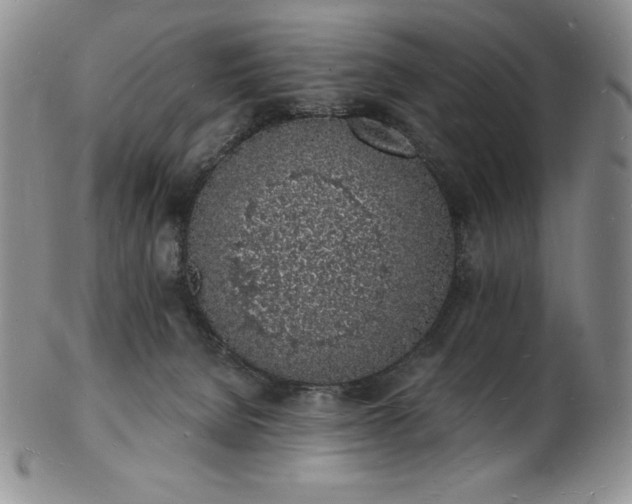 X0000101690080200807171445