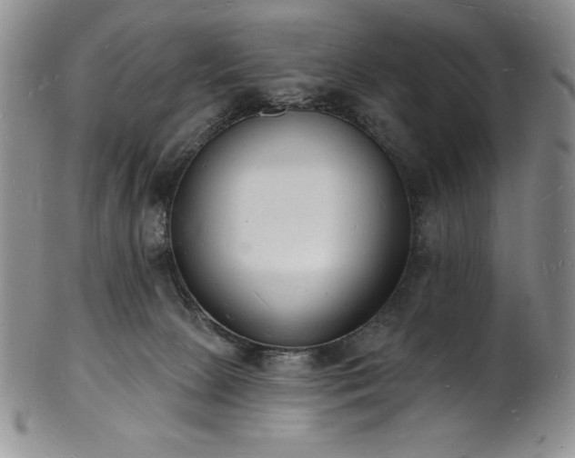 X0000101690081200807171445