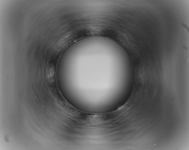 X0000101690082200807171445