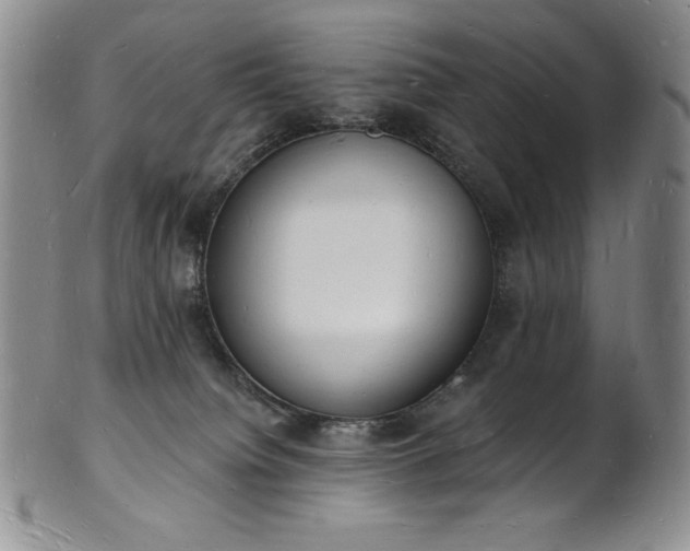 X0000101690084200807171445