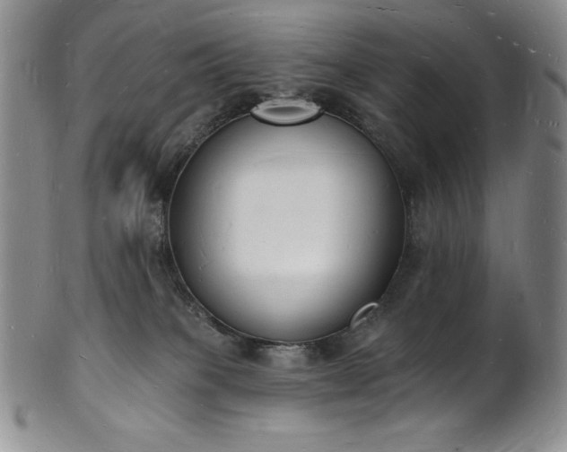 X0000101690085200807171445