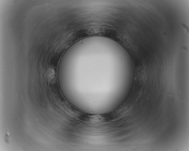 X0000101690087200807171445