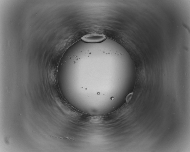 X0000101690088200807171445