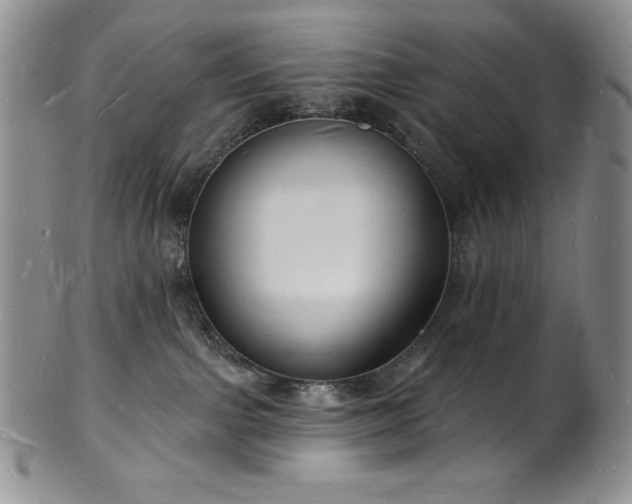 X0000101690091200807171445